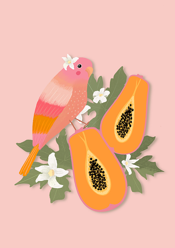 Postcard - Toni Starck - Papayabird