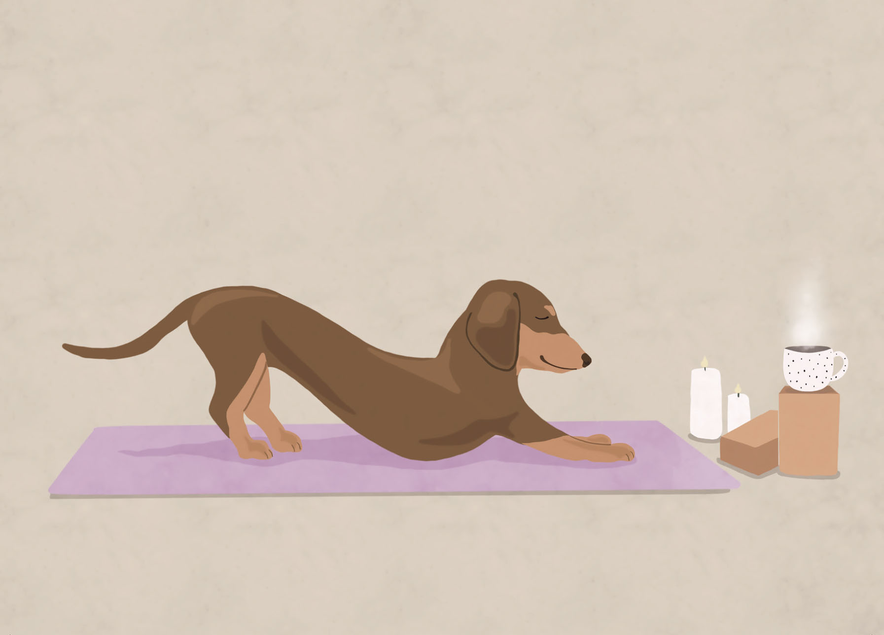 Postkarte - Alfie's Greetings - Downward Dog