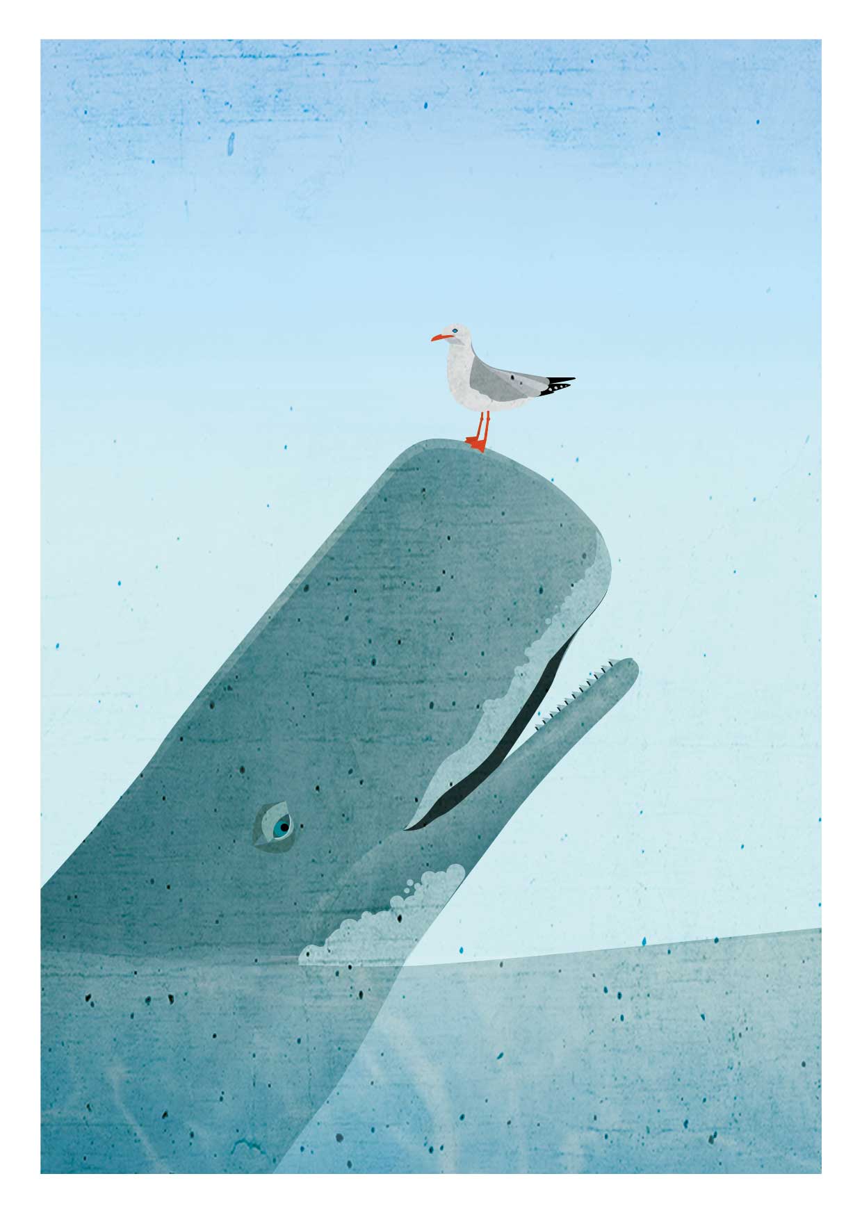 Postcard - Daria Ivanova - Whale and seagull