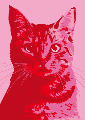 Postcard - Toni Starck - Pink Cat