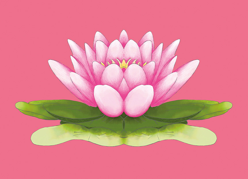 Postcard - m-illu - Lotus blossom
