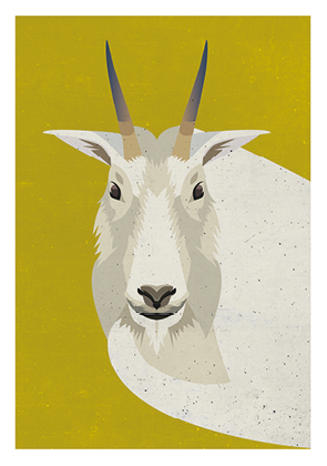 Postcard - Daria Ivanova - Snow goat