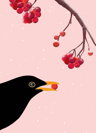 Postkarte - Toni Starck - Blackbird Postkarte - Toni Starck - Blackbird