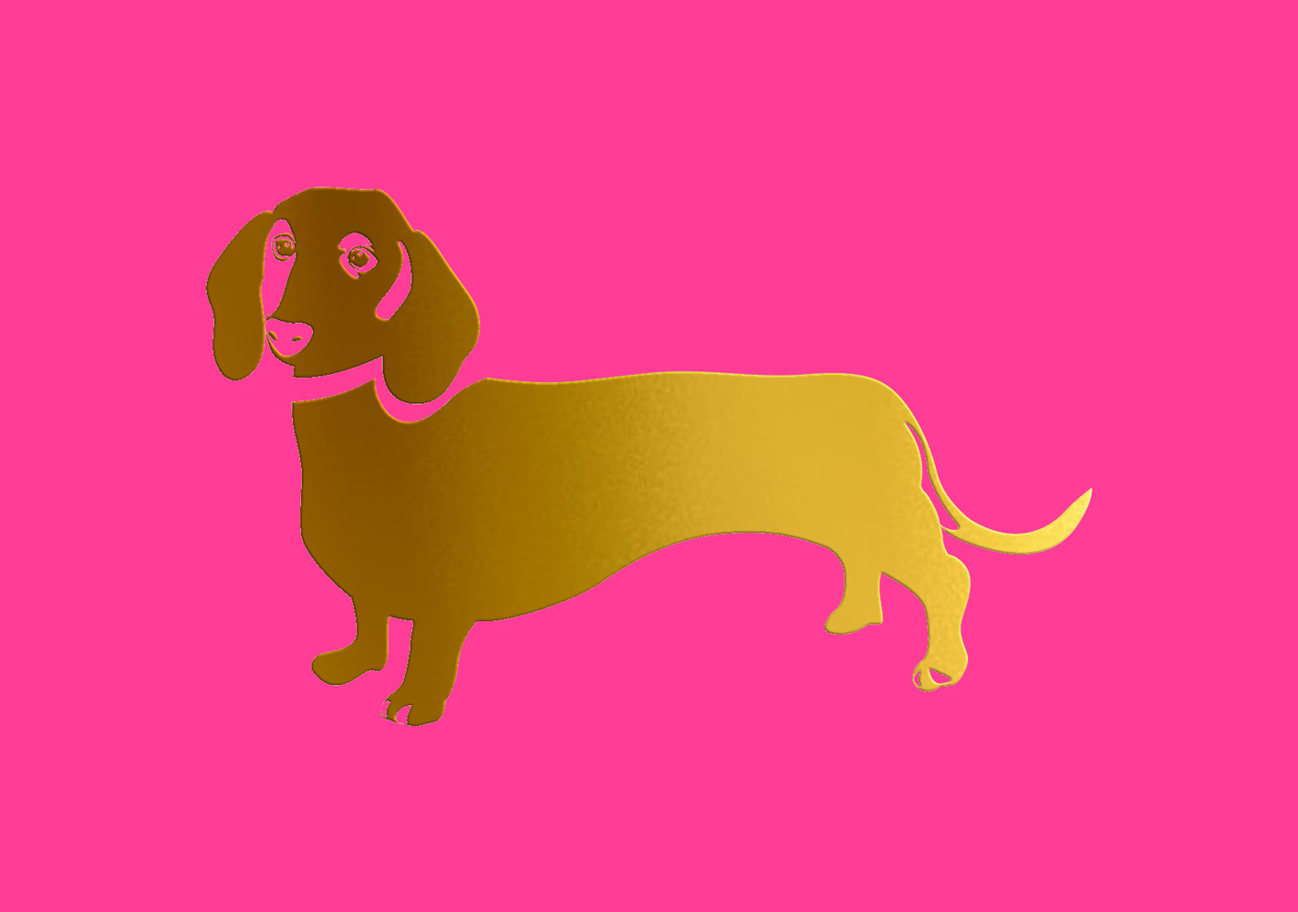 Postcard - pure - Dachshund