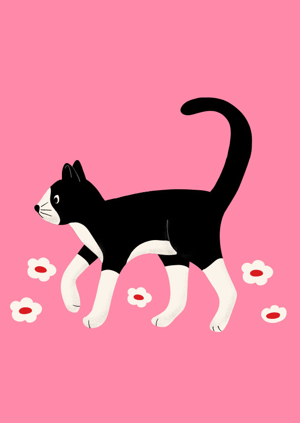 Postkarte - andrea liesert - Katze