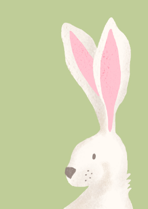 Postcard - Andrea Liesert - Rabbit