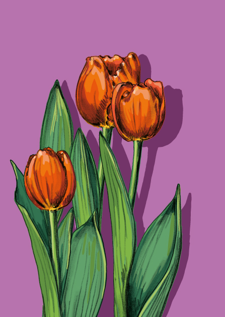 Postcard - illi - LATUBA