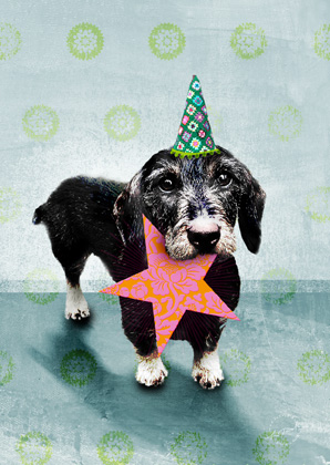 Postkarte - La Tack - sternendieb