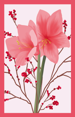 Minicard - Toni Starck - Amaryllis Minicard - Toni Starck - Amaryllis