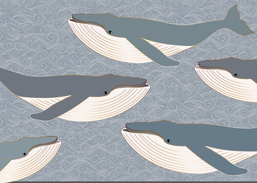 Postcard - Toni Starck - whale