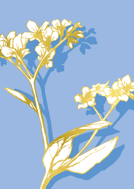 Postkarte - illi - Goldprägung - WALIMA Postkarte - illi - Goldprägung - WALIMA