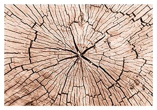 Postkarte - La Card - Wood