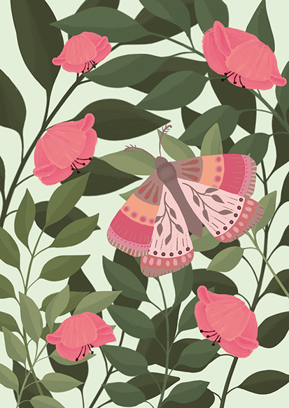 Postkarte - Toni Starck - Schmetterling Hibiskus