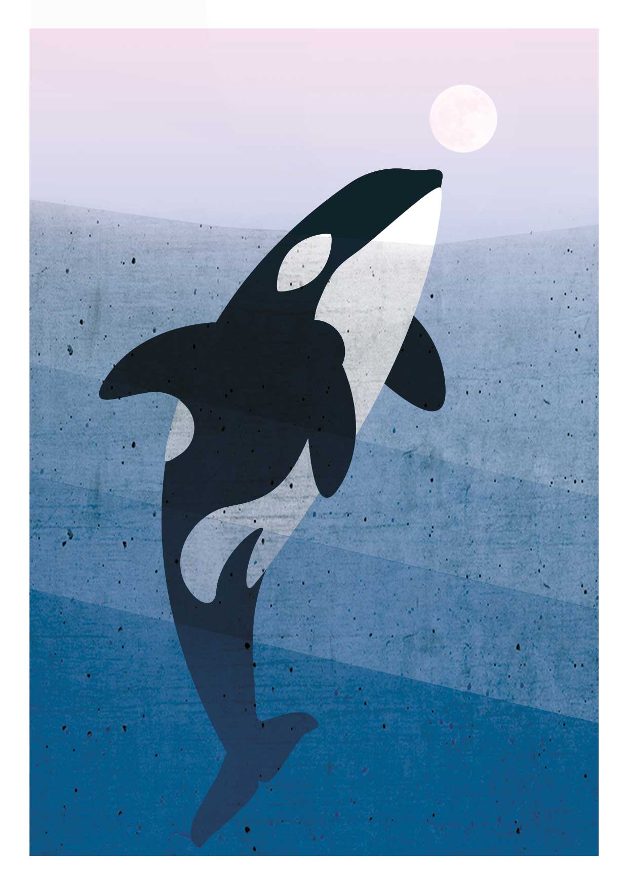 Postcard - Daria Ivanova - Orca