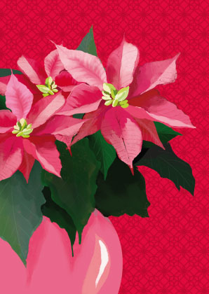Postkarte - Toni Starck Vanilla - Poinsettia