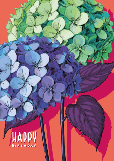 Postcard - illi - PETI