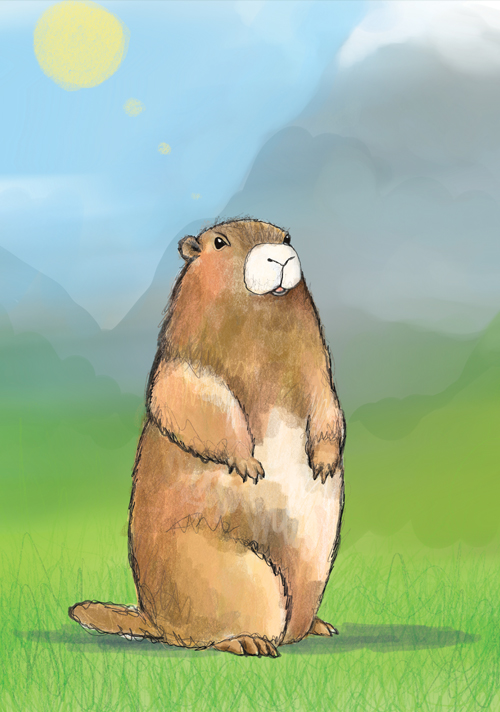 Postcard - Tabea Güttner - Marmot