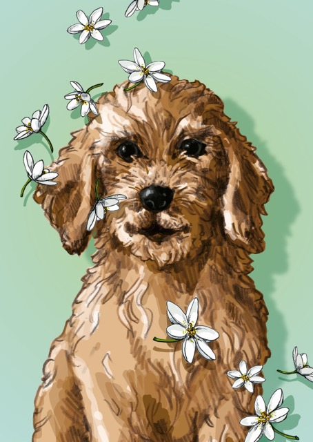 Postkarte - illi - TAVO Postkarte - illi - TAVO