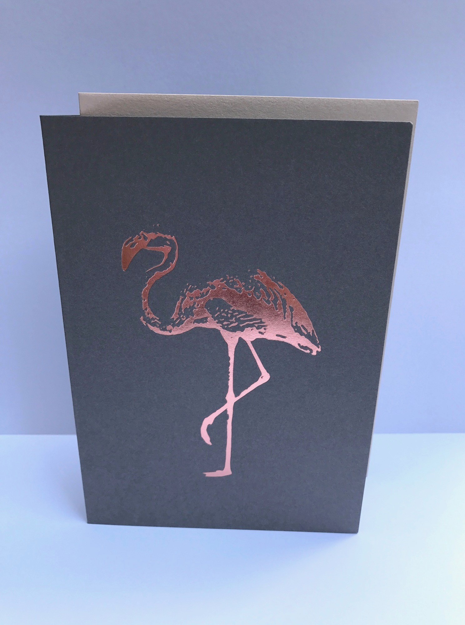 Doublecard C6 - pure - Flamingo Doublecard C6 - pure - Flamingo
