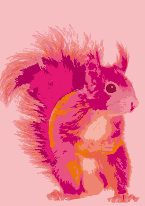 Postkarte - Toni Starck - Pinkes Hörnchen