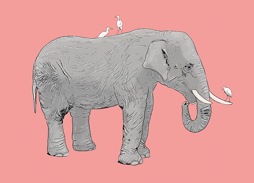 Postcard - m-illu - Elefant