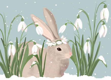 Postkarte - Toni Starck - Winterrabbit Postkarte - Toni Starck - Winterrabbit