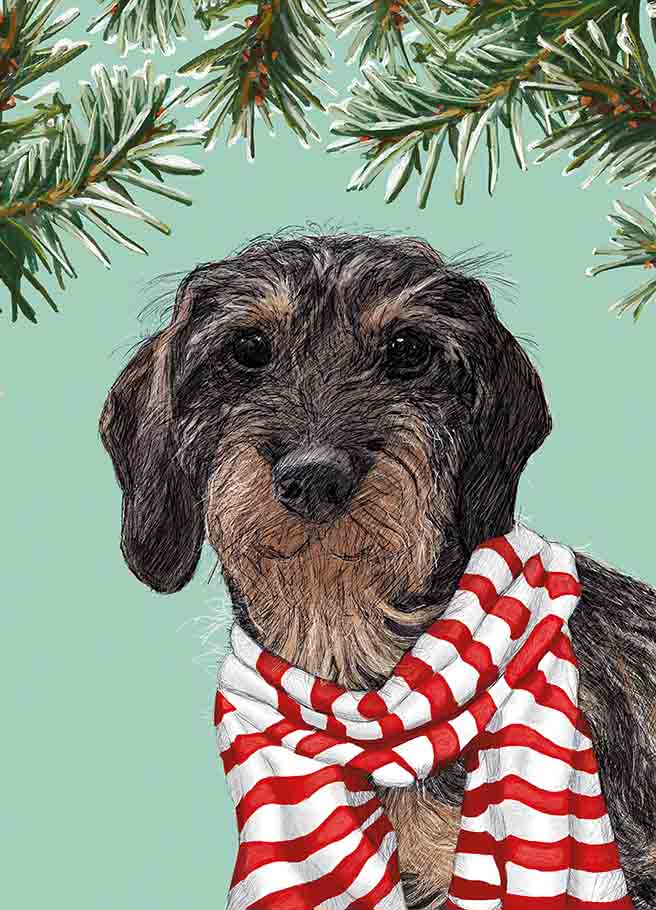 Postcard - m-illu - Dachshund with scarf