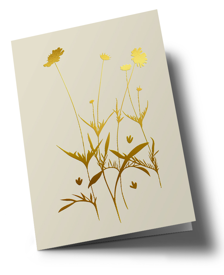 Klappkarte C6 - pure - Gräser