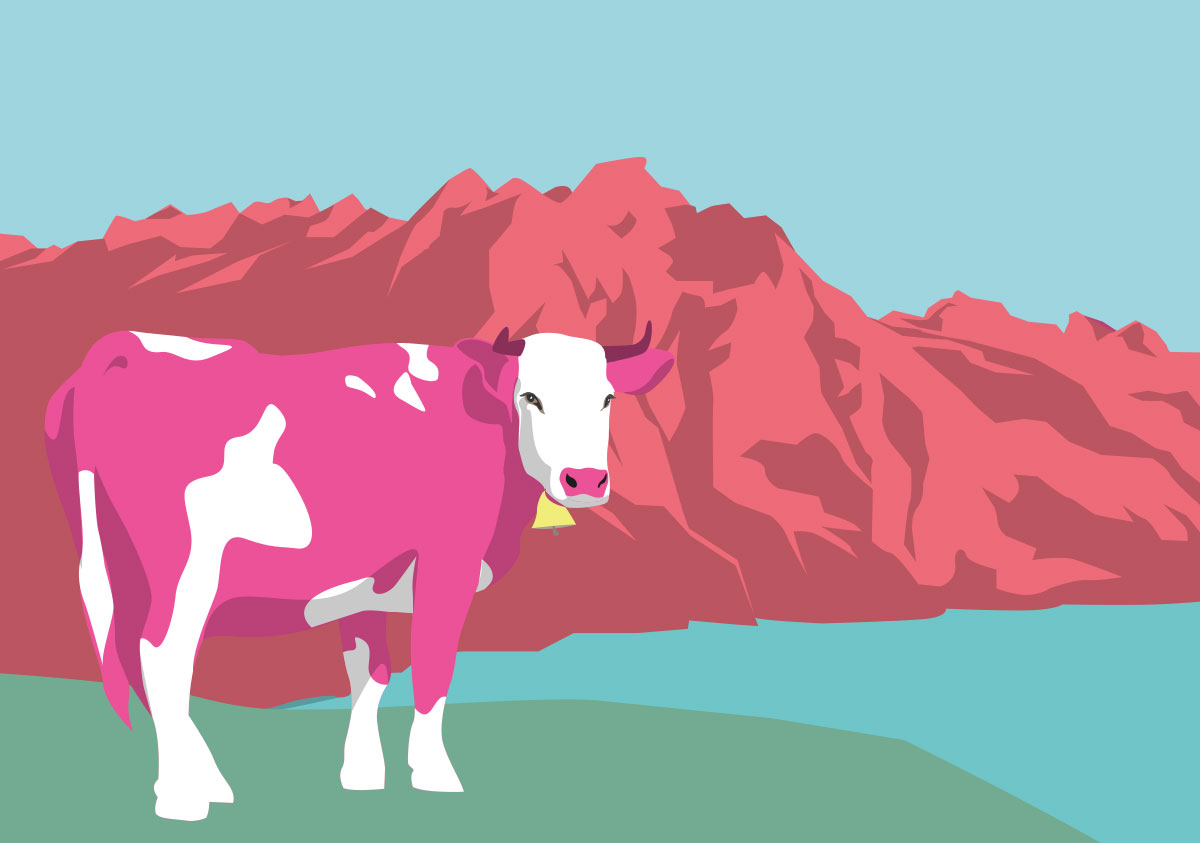 Postkarte - luminous - Pink Cow
