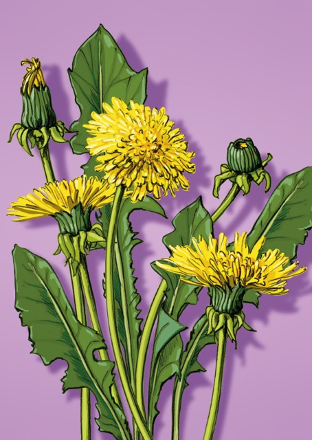 Postkarte - illi - LONI Postkarte - illi - LONI