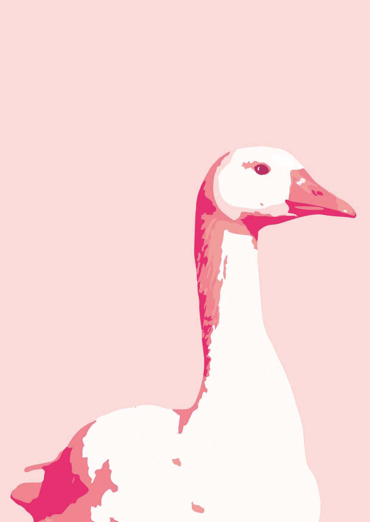 Postkarte - Toni Starck - animal goose