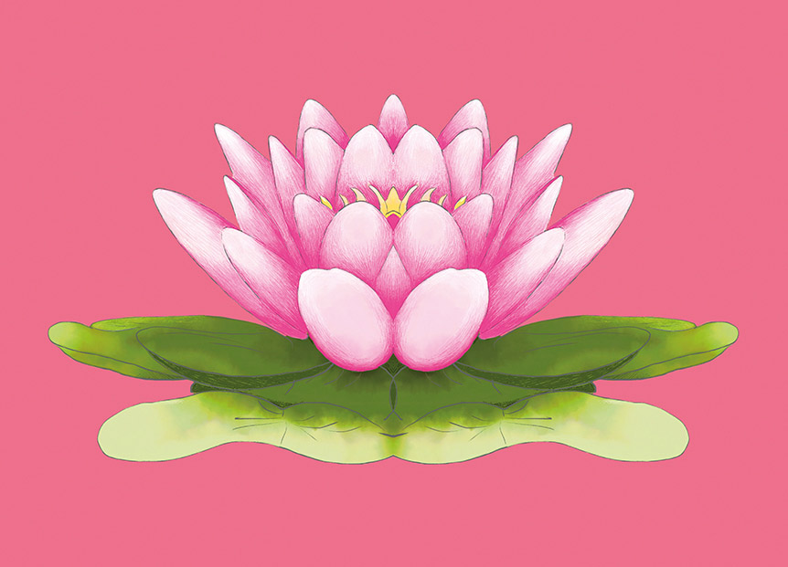Postcard - m-illu - Lotus blossom