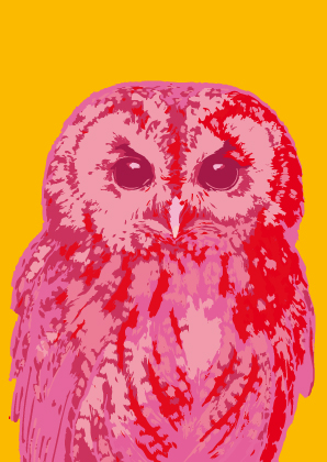 Postcard - Toni Starck - Pink Owl
