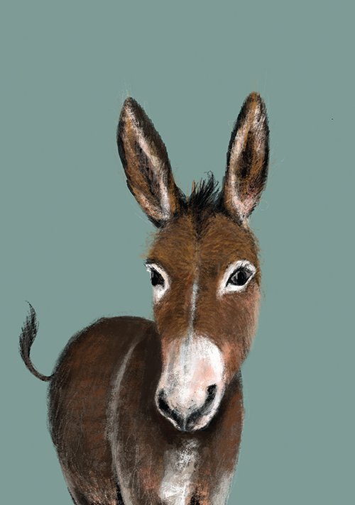 Postcard - Tabea Güttner - Donkey