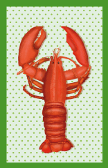 Minicard - Toni Starck - Lobster