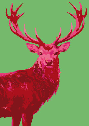 Postkarte - Toni Starck - Pink Deer
