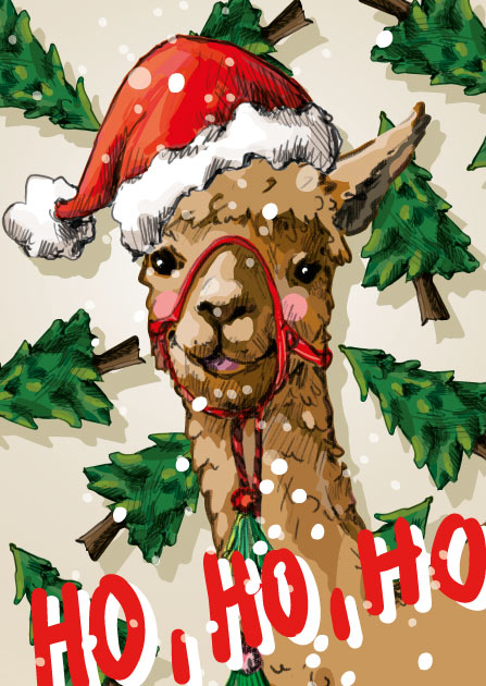 Postcard - illi - ERIX