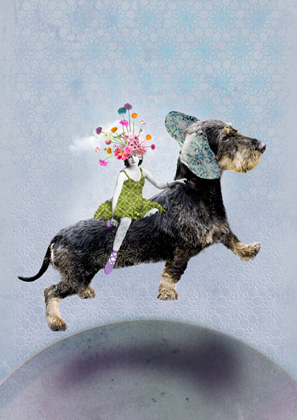 Postkarte - La Tack - dackelflug Postkarte - La Tack - dackelflug