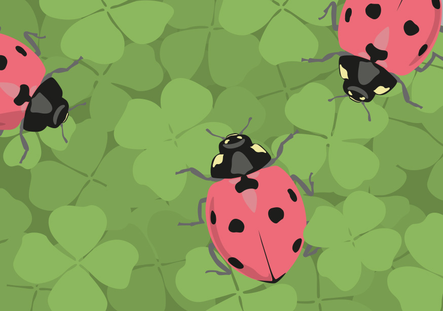 Postcard - luminous - Lady Bug Postcard - luminous - Lady Bug