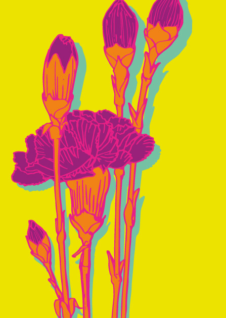 Postcard - illi POP - NELLI