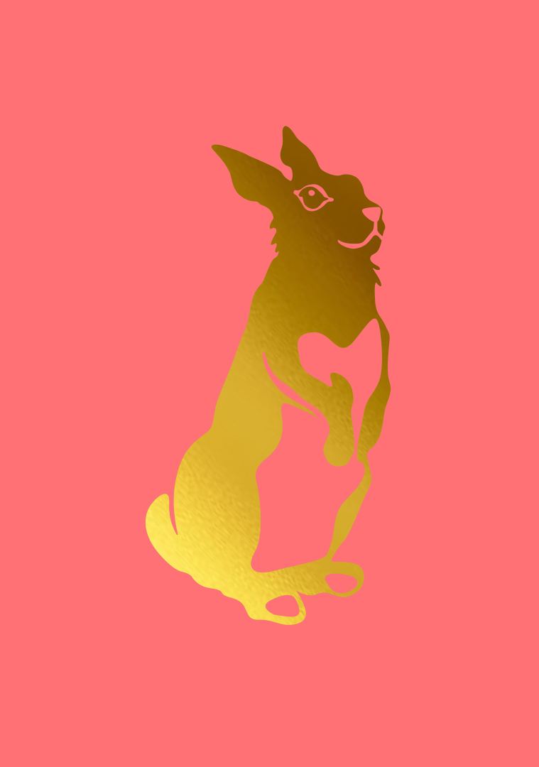 Postkarte - pure - Hase Postkarte - pure - Hase