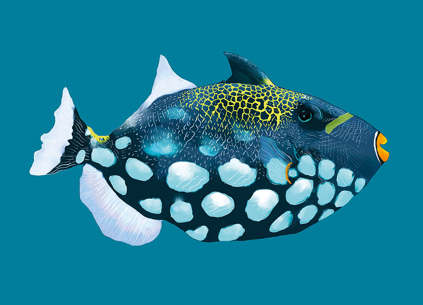 Postcard - m-illu - Leopardenfish