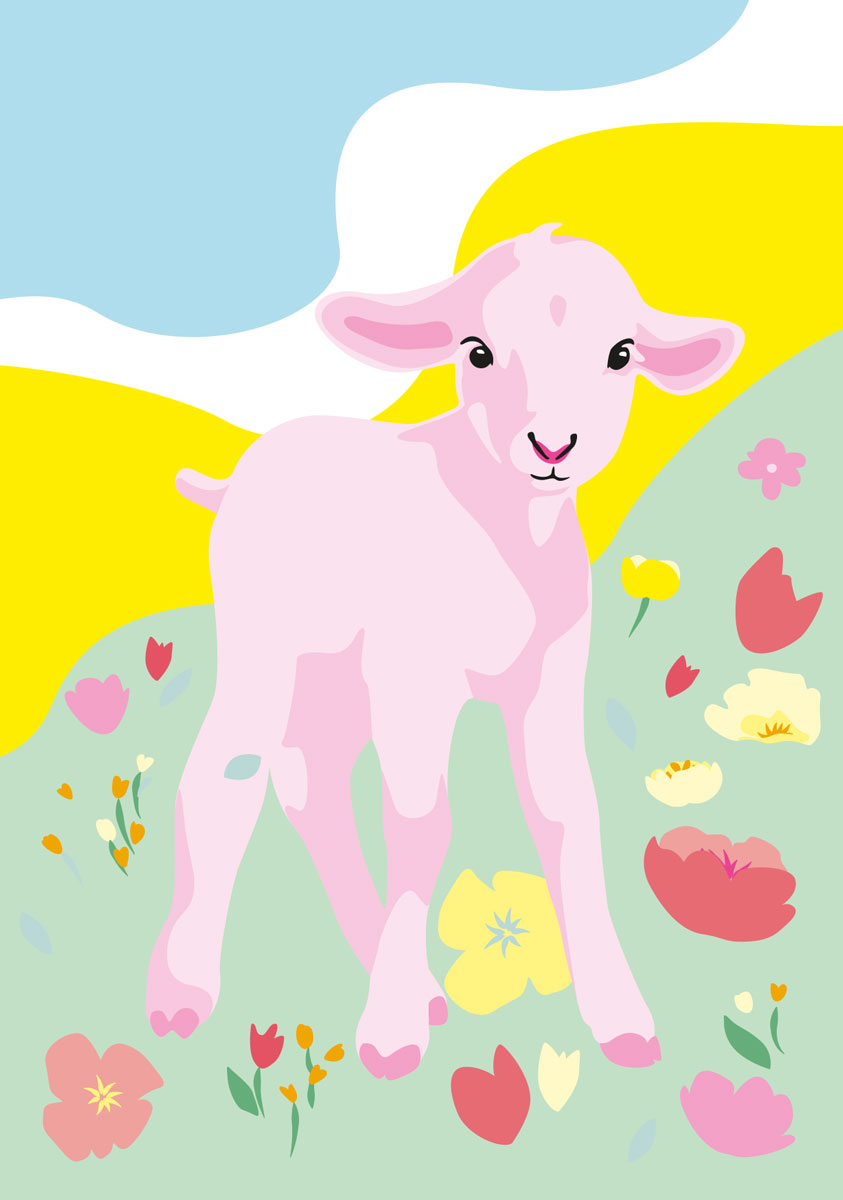 Postcard - Limoncella - Lamb in the mountains