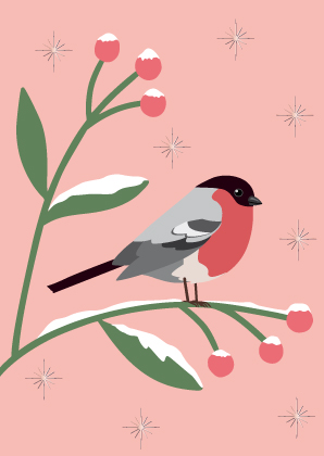 Postkarte - Toni Starck - Winter bullfinch