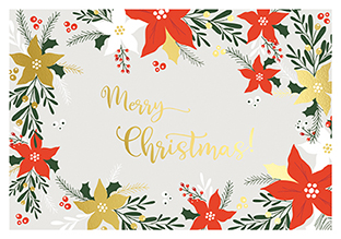 Postkarte - La Card - Weihnachtsstern rot-gold