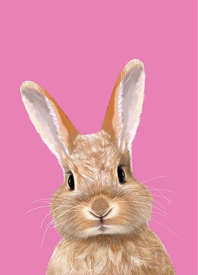 Postkarte - m-illu - Hase pink