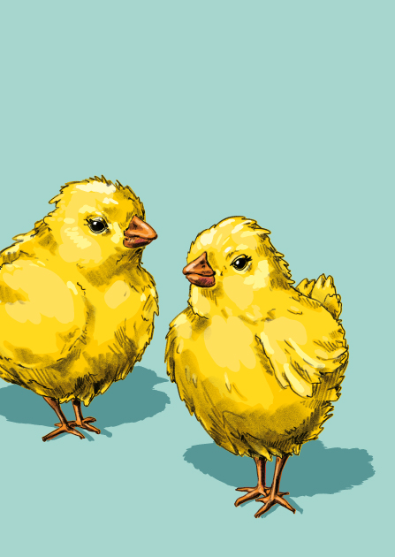 Postcard - illi - BIKA UND BUKA