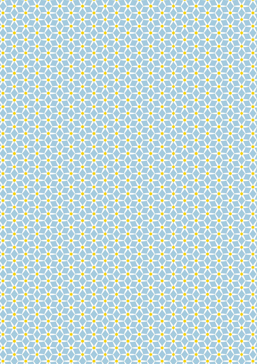 Wrapping paper - Toni Starck Pattern - Daisy Sky