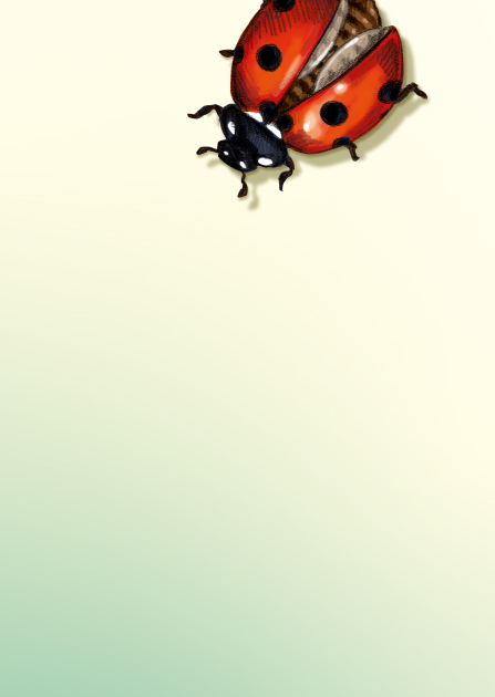 Postcard - illi - JONI