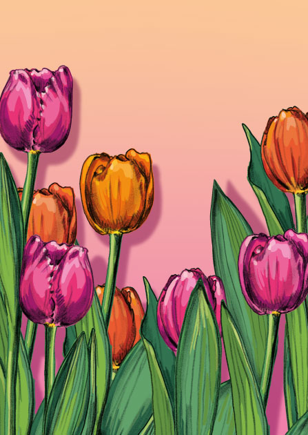 Postcard - illi - LIVA